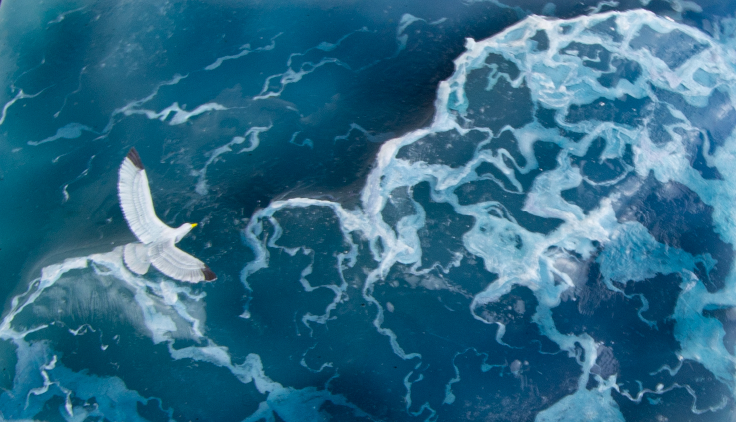 1/35 blue seascape diorama with a seagull